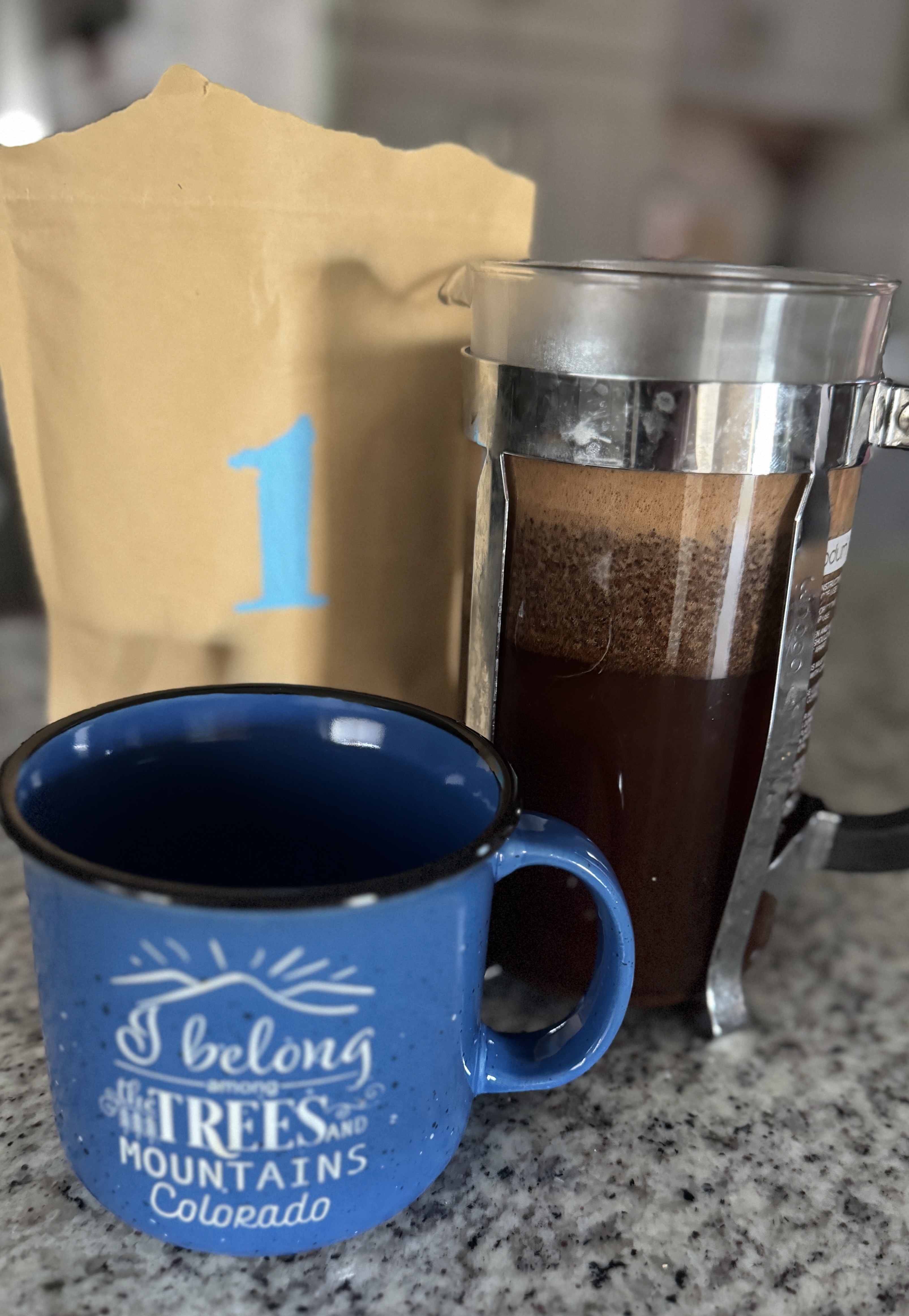 Day 2 French Press
